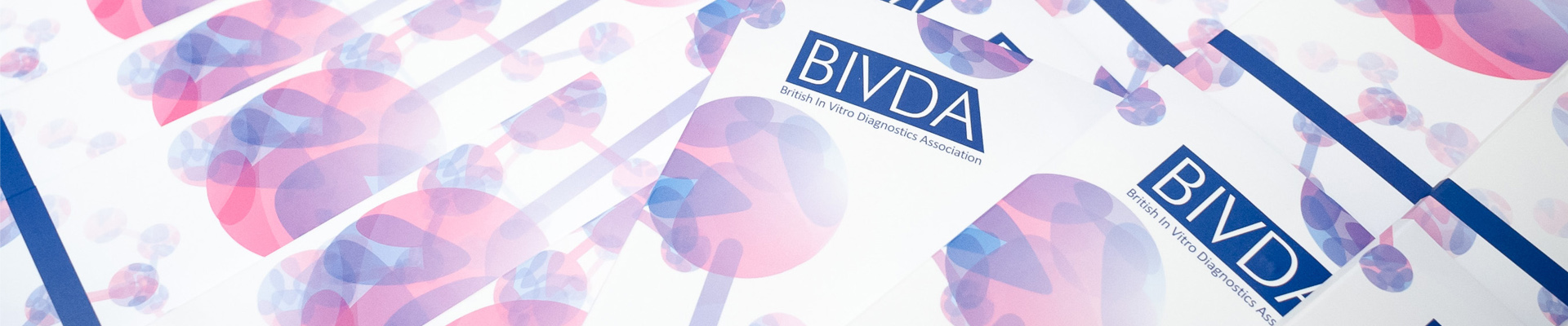 About BIVDA