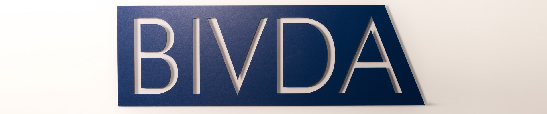 BIVDA Executive Committee