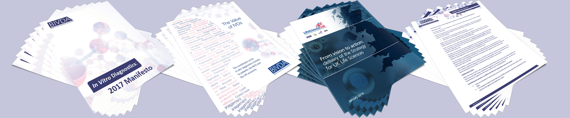 BIVDA Reports and Position Papers